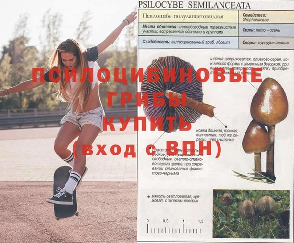 марихуана Михайловка