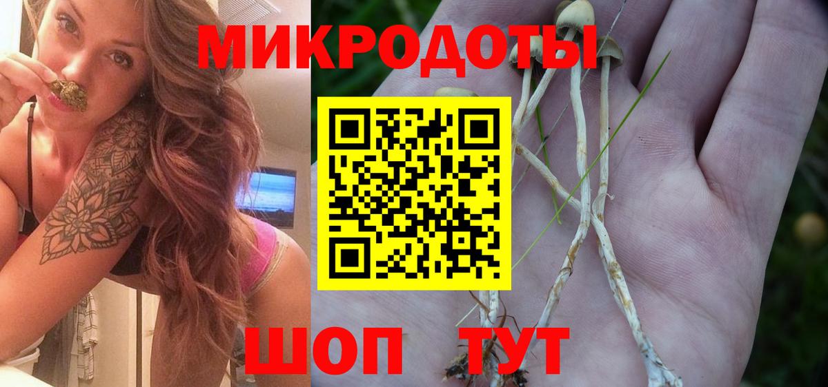 Галлюциногенные грибы прущие грибы Сургут