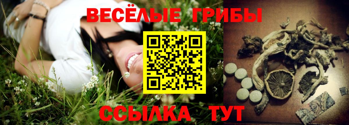Сургут  Псилоцибиновые грибы ЛСД  даркнет сайт  Псилоцибиновые грибы мицелий  Вход с VPN 
