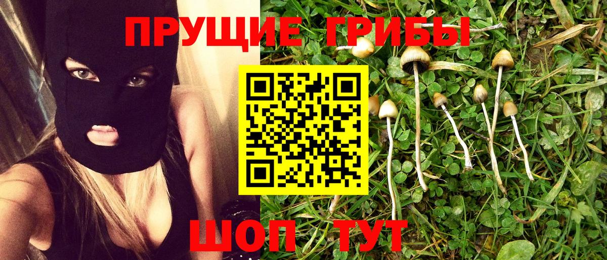 Псилоцибиновые грибы мухоморы Сургут